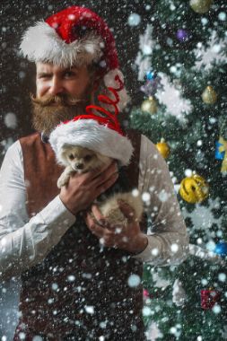 Mutlu yüz ve evde beslenen hayvan sakallı Noel adam.