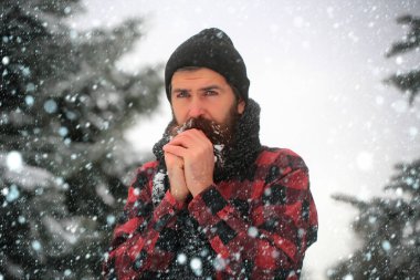 Kış tatili ve kutlama.
