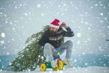 Tatil kutlama kavramı