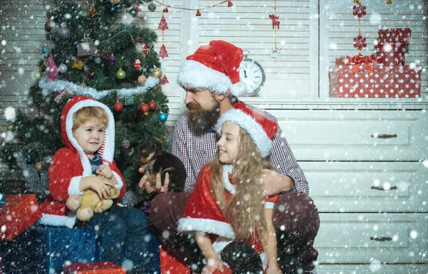 Wintervakantie, jaar van de hond. — Stockfoto