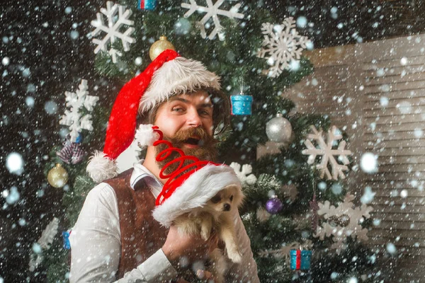 Weihnachtsmann mit Haustier am Baum. — Stockfoto
