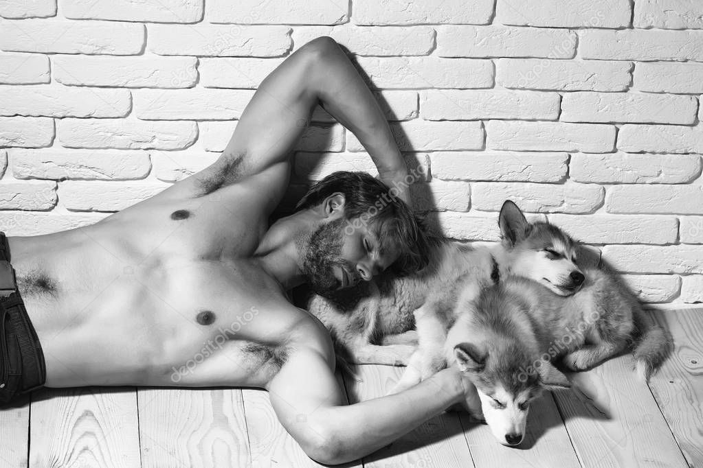 muscular man with sexy body, sleeping husky dogs, puppy pets