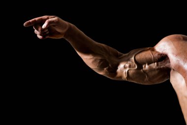 Hand with veins, muscles, biceps, triceps point finger clipart