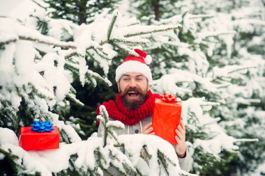 Boks günü, parti kutlama.