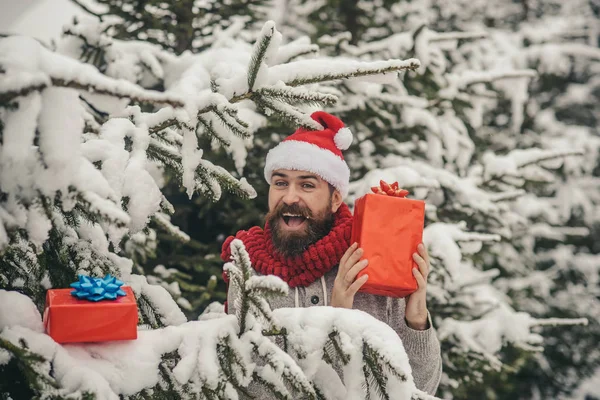 Sakallı adam santa şapka, yeni yıl.