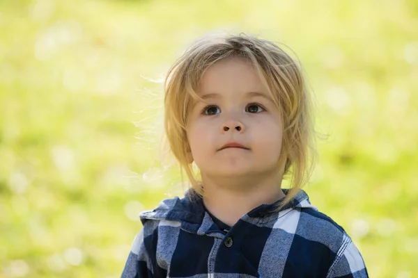 Niño con los ojos marrones en la cara linda y cabello rubio — Foto de Stock