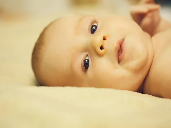 Adorável menino recém-nascido — Fotografia de Stock