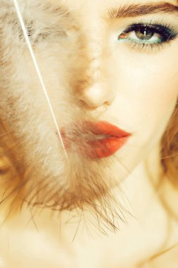 Tüy closeup ile güzel kadın