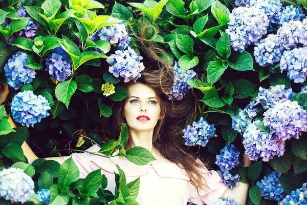 Красива дівчина в квітах гортензії — стокове фото