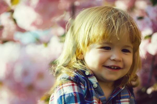 Smiling boy in bloom — Stock Photo, Image