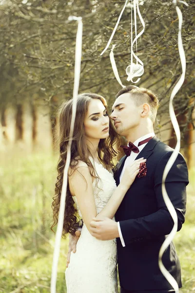 Para ślub i wstążki na drzewo — Zdjęcie stockowe