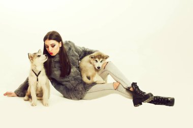 husky köpek ile çok seksi kız