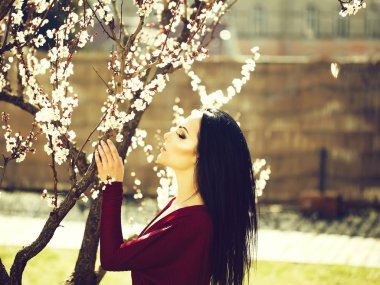 Çiçek açan kayısı kadınla