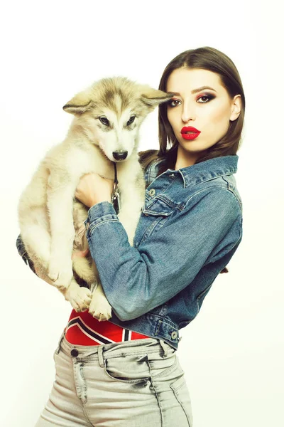 Menina muito sexy com cão husky — Fotografia de Stock