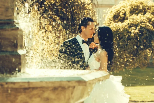 Nunta cuplu sărut lângă apă fântână — Fotografie, imagine de stoc