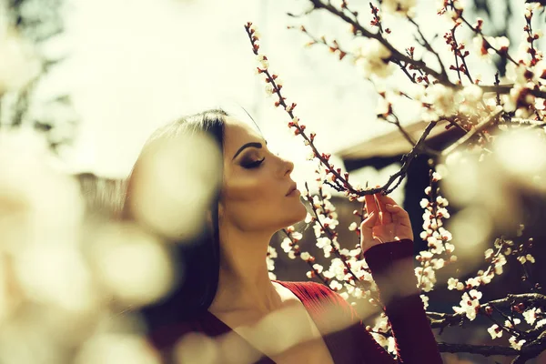 盛开的杏树的女人 — 图库照片