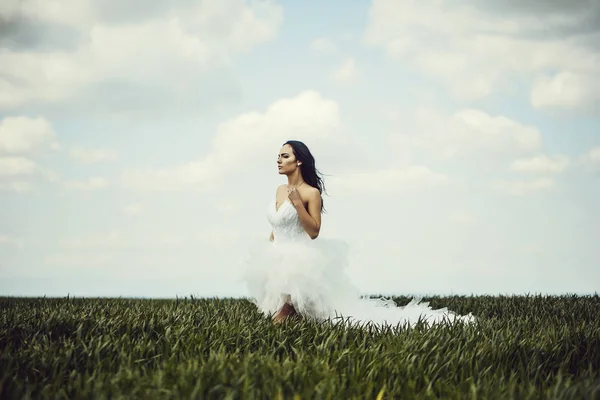 ブルネットの髪と曇り青空自然な背景でフィールドに緑の芝生に白い花嫁ドレスのきれいな顔と若い結婚式のセクシーな女の子女性 — ストック写真