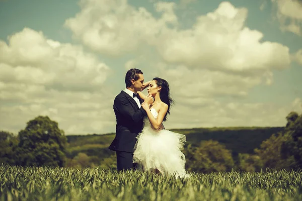 Pareja de boda en hierba verde y cielo azul — Foto de Stock