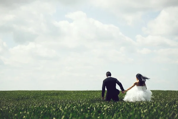 Para ślub na zielonej trawie i błękitne niebo — Zdjęcie stockowe