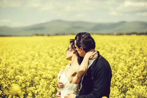 Весільна пара в полі жовті квіти — стокове фото