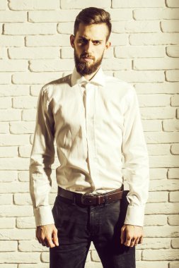 Sakallı yakışıklı şık gömlek ve pantolon