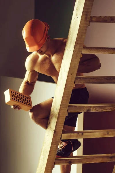 young handsome macho man builder with sexy muscular athletic strong body has bare torso and strong belly with six packs or abs in orange hard hat or helmet holds brick on wood ladder
