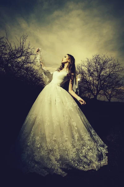 Modern Beyaz Düğün Alacakaranlıkta Güzel Gelin Giydir Çıplak Ağaçlar Açık — Stok fotoğraf