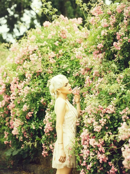 Mooie vrouw in de buurt van rozenstruik — Stockfoto