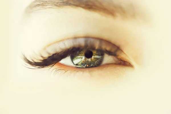 Kadın Açık Göz Yeşil Renkle Uzun Gür Siyah Kirpik Kaş — Stok fotoğraf