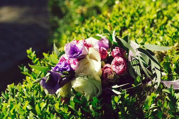 Um monte de flores. — Fotografia de Stock