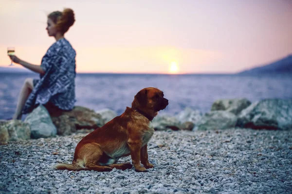 dog and woman on beach