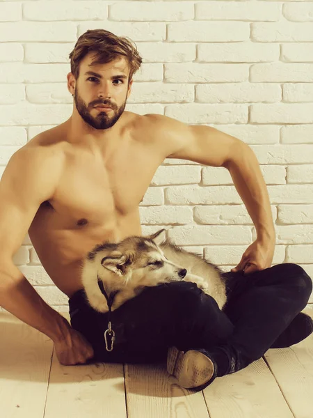 Gespierde man met sexy lichaam houdt husky honden, puppy huisdieren — Stockfoto