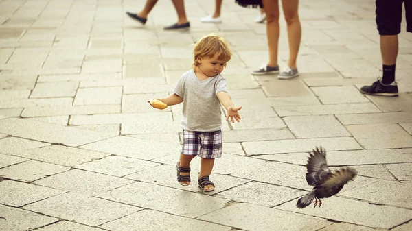 Baby boy feeding pigeon — Stock Photo, Image