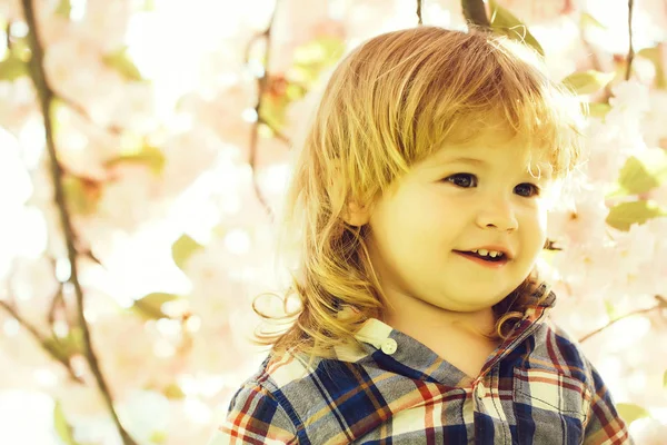 Menino pequeno em flor — Fotografia de Stock