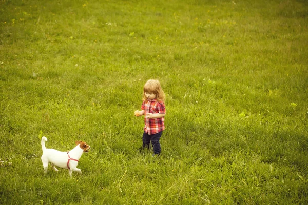Mały chłopiec, na zielonej trawie z psem — Zdjęcie stockowe