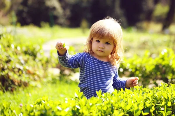 Niño pequeño al aire libre — Foto de Stock