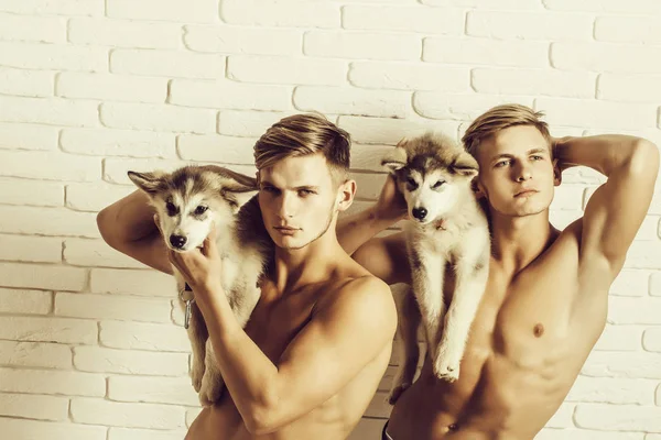 섹시 한 몸매, 거친 개, 강아지 애완 동물 근육 남자 쌍둥이 — 스톡 사진