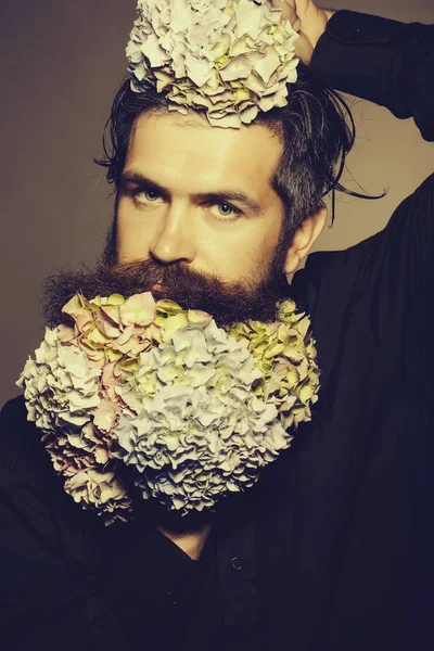 Homme barbu avec des fleurs d'hortensia — Photo
