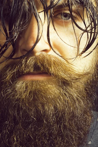 handsome bearded man