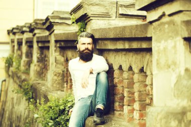 Şık sakallı adam açık