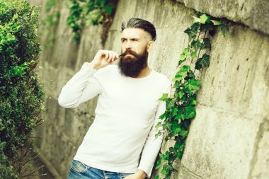 Şık sakallı adam açık