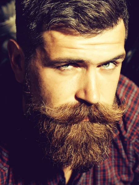 Fruncir el ceño hombre barbudo hipster — Foto de Stock