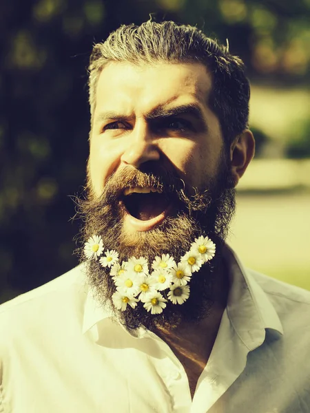 Handsome man with flowers in beard