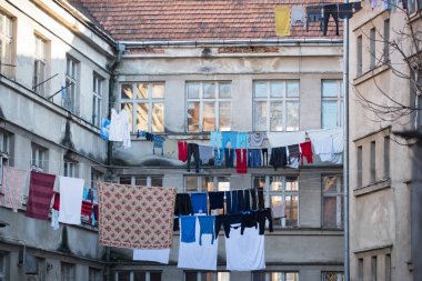 Ekoloji, çevre, çevre