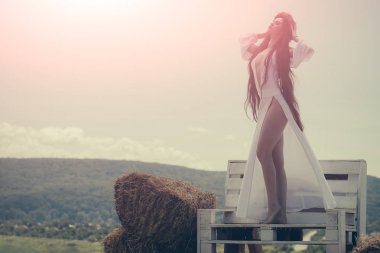 Güzellik, bak konsept