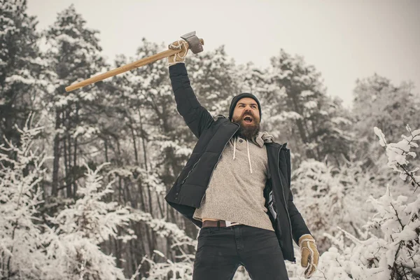 Homem barbudo lenhador segurar machado na floresta de inverno nevado, camping — Fotografia de Stock