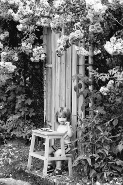 küçük çocuk gül bush yeme