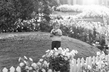 Yeşil çimenlerin üzerinde top oynamaktan şirin bebek çocuk