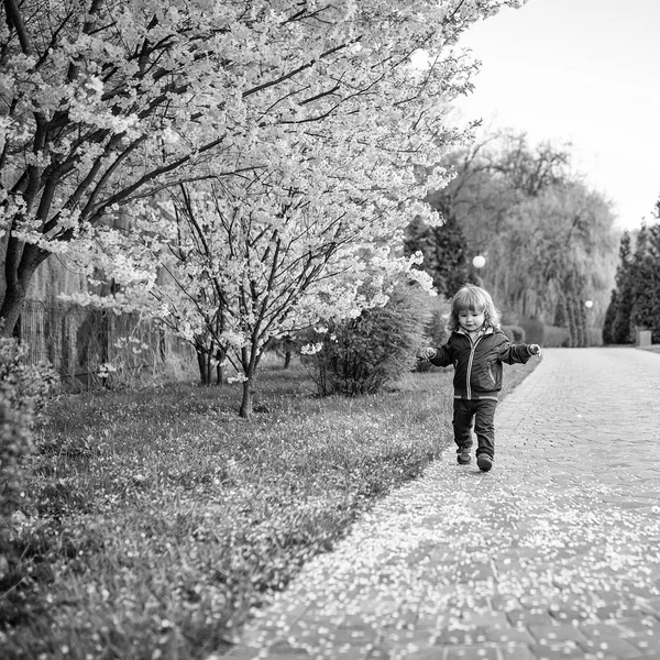 Liten pojke ett blommande träd — Stockfoto