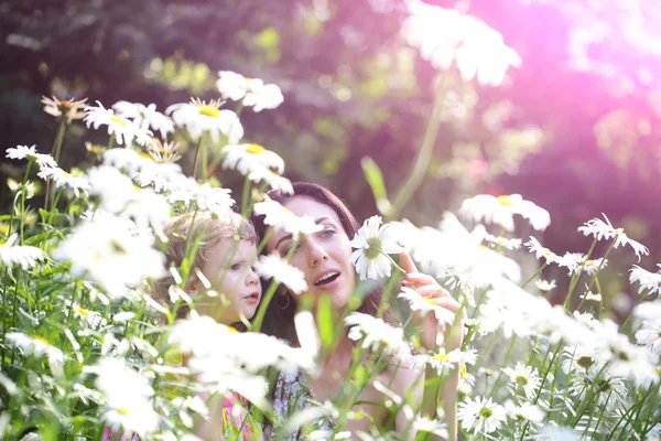 Mor och dotter på fältet med blommande daisy blommor — Stockfoto
